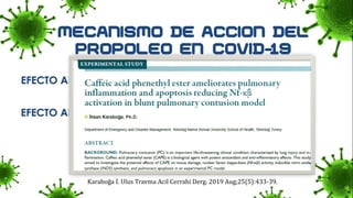 EFECTO ANTIVIRAL
EFECTO ANTI-INFLAMATORIO
Karaboğa İ. Ulus Travma Acil Cerrahi Derg. 2019 Aug;25(5):433-39.
 