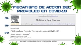 EFECTO ANTIVIRAL
EFECTO ANTI-INFLAMATORIO
EFECTO INMUNOMODULADOR
Maruta H, et al. Med Drug Discov. 2020 Apr 19;6:100039.
 