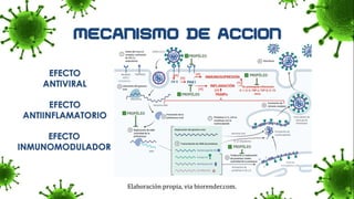 EFECTO
ANTIVIRAL
EFECTO
ANTIINFLAMATORIO
EFECTO
INMUNOMODULADOR
Elaboración propia, via biorender.com.
 