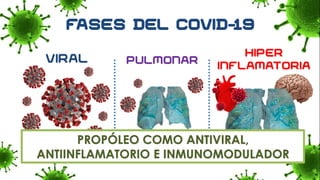 VIRAL
HIPER
INFLAMATORIA
PULMONAR
PROPÓLEO COMO ANTIVIRAL,
ANTIINFLAMATORIO E INMUNOMODULADOR
 