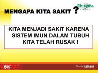 Propolis | PPT