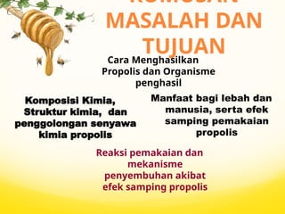Introduction of BBA (PROPOLIS-ppt).pptx