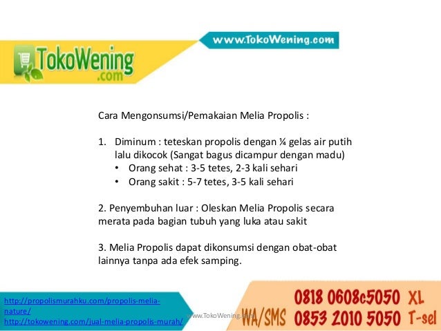 Propolis Mata Tetes Melia