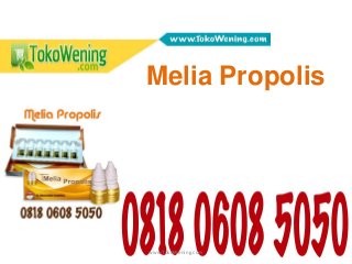 www.TokoWening.com
Melia Propolis
 