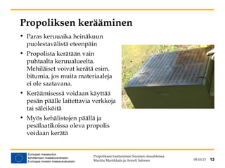 09.10.13 13
Propoliksen kerääminen
• Paras keruuaika heinäkuun
puolestavälistä eteenpäin
• Propolista kerätään vain
puhtaalta keruualueelta.
Mehiläiset voivat kerätä esim.
bitumia, jos muita materiaaleja
ei ole saatavana.
• Keräämisessä voidaan käyttää
pesän päälle laitettavia verkkoja
tai säleiköitä
• Myös kehälistojen päällä ja
pesälaatikoissa oleva propolis
voidaan kerätä
Propoliksen tuottaminen Suomen olosuhteissa
Maritta Martikkala ja Anneli Salonen 13
 