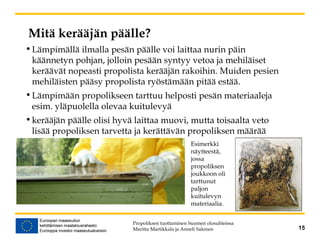 Mitä kerääjän päälle?
•Lämpimällä ilmalla pesän päälle voi laittaa nurin päin
käännetyn pohjan, jolloin pesään syntyy vetoa ja mehiläiset
keräävät nopeasti propolista kerääjän rakoihin. Muiden pesien
mehiläisten pääsy propolista ryöstämään pitää estää.
•Lämpimään propolikseen tarttuu helposti pesän materiaaleja
esim. yläpuolella olevaa kuitulevyä
•kerääjän päälle olisi hyvä laittaa muovi, mutta toisaalta veto
lisää propoliksen tarvetta ja kerättävän propoliksen määrää
Propoliksen tuottaminen Suomen olosuhteissa
Maritta Martikkala ja Anneli Salonen 15
Esimerkki
näytteestä,
jossa
propoliksen
joukkoon oli
tarttunut
paljon
kuitulevyn
materiaalia.
 
