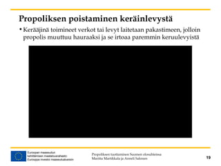 Propoliksen poistaminen keräinlevystä
•Kerääjinä toimineet verkot tai levyt laitetaan pakastimeen, jolloin
propolis muuttuu hauraaksi ja se irtoaa paremmin keruulevyistä
Propoliksen tuottaminen Suomen olosuhteissa
Maritta Martikkala ja Anneli Salonen 19
 