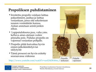 Propoliksen puhdistaminen
• Irroitettu propolis voidaan laittaa
pakastimeen, jauhaa ja laittaa
vesiastiaan, jossa sitä sekoitetaan
suuren vesimäärän kanssa.
Astian annetaan seistä jonkin
aikaa.
• Lopputuloksena puu, vaha yms.
kelluva aines otetaan veden
pinnalta pois. Puhdas propolis on
vajonnut vesiastian pohjalle.
• Propolis pitää kuivattaa hyvin
ennen jatkokäsittelyä tai
säilytystä
• Tämä prosessi on hyvin esitetty
seuraavassa videossa
Propoliksen tuottaminen Suomen olosuhteissa
Maritta Martikkala ja Anneli Salonen 21
http://www.youtube.com/watch?v=uwEAOSA6m_I
Pinnalla
kelluneet
Pohjalle
vajonneet
 