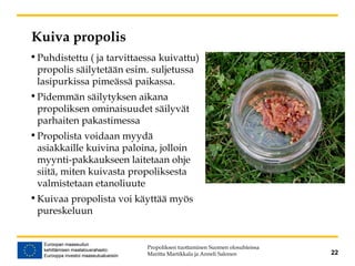Kuiva propolis
•Puhdistettu ( ja tarvittaessa kuivattu)
propolis säilytetään esim. suljetussa
lasipurkissa pimeässä paikassa.
•Pidemmän säilytyksen aikana
propoliksen ominaisuudet säilyvät
parhaiten pakastimessa
•Propolista voidaan myydä
asiakkaille kuivina paloina, jolloin
myynti-pakkaukseen laitetaan ohje
siitä, miten kuivasta propoliksesta
valmistetaan etanoliuute
•Kuivaa propolista voi käyttää myös
pureskeluun
Propoliksen tuottaminen Suomen olosuhteissa
Maritta Martikkala ja Anneli Salonen 22
 