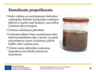 Etanoliuute propoliksesta
Propoliksen tuottaminen Suomen olosuhteissa
Maritta Martikkala ja Anneli Salonen 24
•Kaksi viikkoa on osoittautunut riittäväksi
uuttoajaksi. Kahden kuukauden uuttoajan
jälkeen ei saanto enää lisäänny vaan jotkut
yhdisteet alkavat hajota
•Uutosta sekoitetaan päivittäin
•Uuttoajan jälkeen liuos suodatetaan esim.
kahvinsuodattimen läpi. Liuosta voi pitää
pakastimessa ennen suodatusta, jolloin
kaikki vaha saadaan pois.
•Valmis uutos säilytetään ruskeassa
lasipullossa tai foliolla peitetyssä
lasiastiassa
 