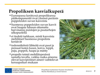 09.10.13 7
Propoliksen kasvialkuperä
•Euroopassa kerätyssä propoliksessa
pääkomponentit ovat yleensä peräisin
poppeleiden suvun kasveista
•Suomessa poppeleiden suvun kasvit
ovat haapaa lukuun ottamatta
harvinaisia puistojen ja puutarhojen
ulkopuolella
•ei tiedetä tarkkaan, mistä kasveista
mehiläiset Suomessa propolista
keräävät
•todennäköisiä lähteitä ovat puut ja
pensaat kuten kuusi, koivu, leppä,
paju, poppeli, haapa ja mänty
•propolis toimii mehiläispesässä
samalla tavalla, vaikka raaka-aineena
olevat kasviperäiset aineet vaihtelevat
keruupaikan mukaan
Propoliksen tuottaminen Suomen olosuhteissa
Maritta Martikkala ja Anneli Salonen 7
 