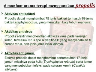 6 manfaat utama terapi menggunakan propolis
 Aktivitas antibakteri
  Propolis dapat menghambat 75 jenis bakteri termasuk 69 jenis
  bakteri staphylococcus, yang merugikan bagi tubuh manusia.

 Aktivitas antivirus
  Propolis efektif menghentikan aktivitas virus pada kelenjar
  ludah, termasuk virus tipe A dan tipe B yang menyebabkan flu,
  corona virus, dan jenis-jenis virus lainnya.

 Aktivitas anti jamur
  Ekstrak propolis dapat menghambat pertumbuhan 17 jenis
  jamur, misalnya pada kulit (Trychophyton rubrum) serta jamur
  yang menyebabkan infeksi pada saluran kemih (Candida
  albicans)
 