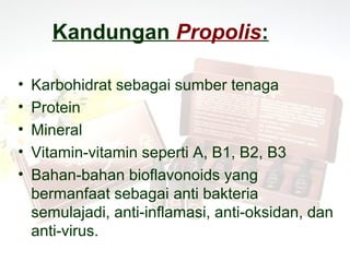 Kandungan Propolis:

•   Karbohidrat sebagai sumber tenaga
•   Protein
•   Mineral
•   Vitamin-vitamin seperti A, B1, B2, B3
•   Bahan-bahan bioflavonoids yang
    bermanfaat sebagai anti bakteria
    semulajadi, anti-inflamasi, anti-oksidan, dan
    anti-virus.
 