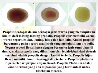 Propolis terdapat dalam berbagai jenis warna yang menunjukkan
kualiti dari masing-masing propolis. Propolis cair memiliki warna-
 warna seperti coklat, kuning, hijau dan lain-lain. Kualiti propolis
 bergantung pada negara asal lebah yang menghasilkan propolis.
  Negara seperti Brazil kaya dengan beraneka jenis tumbuhan di
dunia, maka propolis yang dihasilkan oleh lebah-lebah dari daerah
  tersebut adalah propolis dengan kualiti terbaik. Propolis hijau
  Brazil memiliki kualiti tertinggi dan terbaik. Propolis platinum
  diperoleh dari propolis hijau Brazil. Propolis Platinum adalah
    kualiti terbaik yang ada di pasaran yang bermanfaat untuk
                         kesehatan mereka.
 