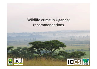 Wildlife	crime	in	Uganda:	
recommenda1ons	
 
