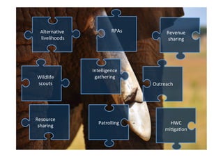 Outreach	
	
Resource		
sharing	
	
RPAs	
Patrolling	 HWC		
mi1ga1on	
Intelligence	
gathering	
	
Wildlife	
scouts	
Revenue	
...