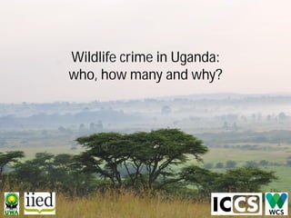 Wildlife crime in Uganda:
who, how many and why?
 