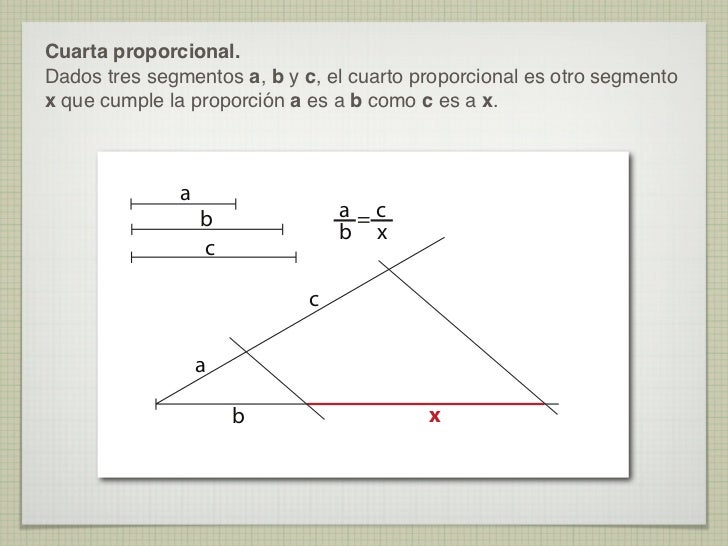 Proporcionalidad Proporcionalidad