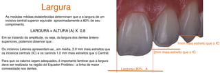 Largura= 80% . A
LARGURA = ALTURA (A) X 0,8
Em se tratando da amplitude, ou seja, da largura dos dentes ântero-
superiores, podemos observar que :
Os incisivos Laterais apresentam-se , em média, 2.0 mm mais estreitos que
os incisivos centrais (IC) e os caninos 1.0 mm mais estreitos que o Central.
Para que os valores sejam adequados, é importante lembrar que a largura
deve ser realizada na região do Equador Protético : a linha de maior
convexidade nos dentes.
2mm mais estreito que o IC
1mm mais estreito que o IC
As medidas médias estabelecidas determinam que a a largura de um
incisivo central superior equivale aproximadamente a 80% de seu
comprimento.
Largura
 