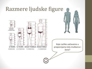 Razmere ljudske figure 
Koje razlike uočavamo u 
proporcijama tela muškarca i 
žene? 
 