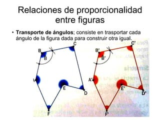 Relaciones de proporcionalidad entre figuras Transporte de ángulos ; consiste en trasportar cada ángulo de la figura dada para construir otra igual. 