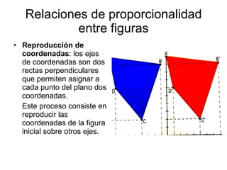 Relaciones de proporcionalidad entre figuras Reproducción de coordenadas : los ejes de coordenadas son dos rectas perpendiculares que permiten asignar a cada punto del plano dos coordenadas.  Este proceso consiste en reproducir las coordenadas de la figura inicial sobre otros ejes. 