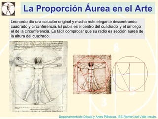 La Proporción Áurea en el Arte Departamento de Dibujo y Artes Plásticas. IES Ramón del Valle-Inclán. P Partenó Leonardo dio una solución original y mucho más elegante descentrando cuadrado y circunferencia. El pubis es el centro del cuadrado, y el ombligo el de la circunferencia. Es fácil comprobar que su radio es sección áurea de la altura del cuadrado. 