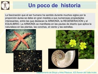 Un poco de  historia Departamento de Dibujo y Artes Plásticas. IES Ramón del Valle-Inclán. La fascinación que el ser humano ha sentido durante muchos siglos por la proporción áurea se debe en gran medida a sus numerosas propiedades interesantes, entre las que destacan la ARMONÍA, la REGENERACIÓN y el EQUILIBRIO. La ARMONÍA se manifiesta en las pautas de diseño que aplica la naturaleza en las plantas, las conchas, el viento y las estrellas. 