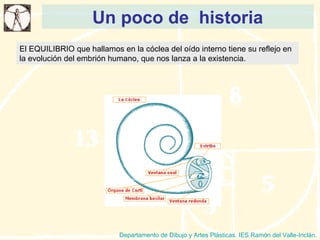 Un poco de  historia Departamento de Dibujo y Artes Plásticas. IES Ramón del Valle-Inclán. El EQUILIBRIO que hallamos en la cóclea del oído interno tiene su reflejo en la evolución del embrión humano, que nos lanza a la existencia. 