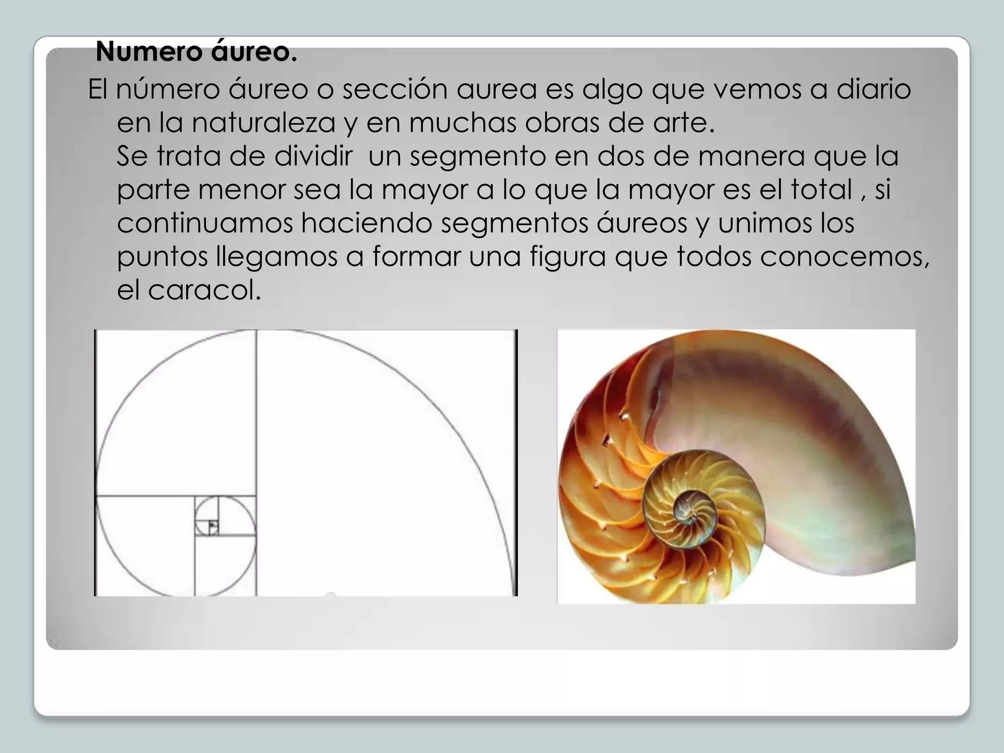 Numero áureo.
El número áureo o sección aurea es algo que vemos a diario
en la naturaleza y en muchas obras de arte.
Se trata de dividir un segmento en dos de manera que la
parte menor sea la mayor a lo que la mayor es el total , si
continuamos haciendo segmentos áureos y unimos los
puntos llegamos a formar una figura que todos conocemos,
el caracol.

 