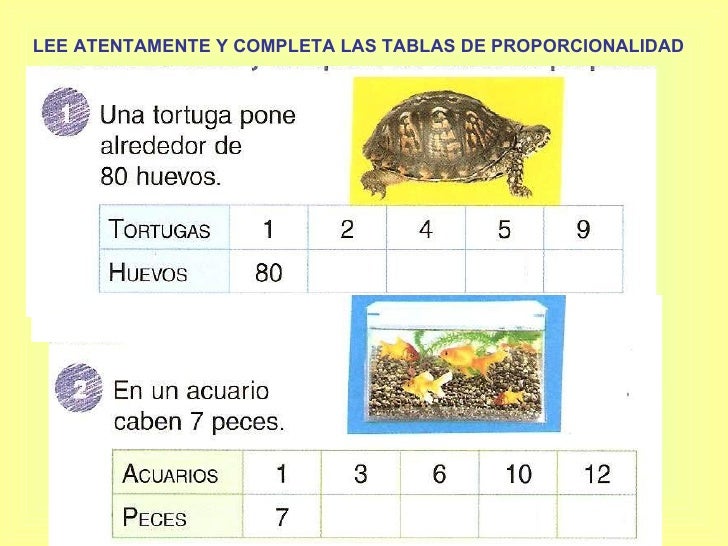 Proporcionalidad 5to