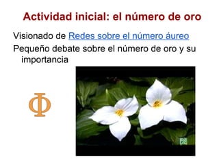 Actividad inicial: el número de oro
Visionado de Redes sobre el número áureo
Pequeño debate sobre el número de oro y su
  importancia
 