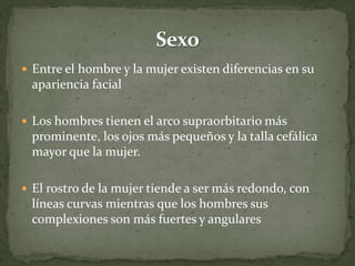 Proporciones divinas | PPTX