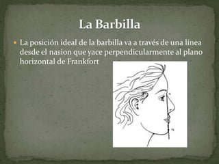  La posición ideal de la barbilla va a través de una línea
desde el nasion que yace perpendicularmente al plano
horizontal de Frankfort
 