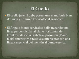  El cuello juvenil debe poseer una mandíbula bien
definida y un surco Cervicofacial armónico.
 El Ángulo Mentocervical se halla trazando una
línea perpendicular al plano horizontal de
Frankfort desde la Glabela al pogonion (Plano
facial anterior) y esta se va a interceptar con una
línea tangencial del mentón al punto cervical
 