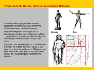 Da mesma forma que plantas e animais
apresentam proporções áureas, fenômeno
similar ocorre com os seres humanos.
Esta talvez seja uma explicação para a
preferência cognitiva pela razão áurea: a face e
o corpo humano guardam as mesmas relações
matemáticas encontráveis em outros seres
vivos.
De acordo com este esquema, o corpo humano
é dividido na metade da virilha, e pela seção
área, no umbigo. As estátuas do Gladiador e de
Zeus tomam por base a teoria de Vitruvius e a
análise de suas proporções é praticamente
idêntica.
ZeusGladiador
Proporções do Corpo Humano na Escultura Clássica
 