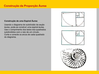 Construção de uma Espiral Áurea
Usando o diagrama de subdivisão da seção
áurea, pode-se construir uma espiral áurea.
Use o comprimento dos lados dos quadrados
subdivididos com o raio de um círculo.
Corte e conecte os arcos de cada quadrado
do diagrama.
Construção da Proporção Áurea
 