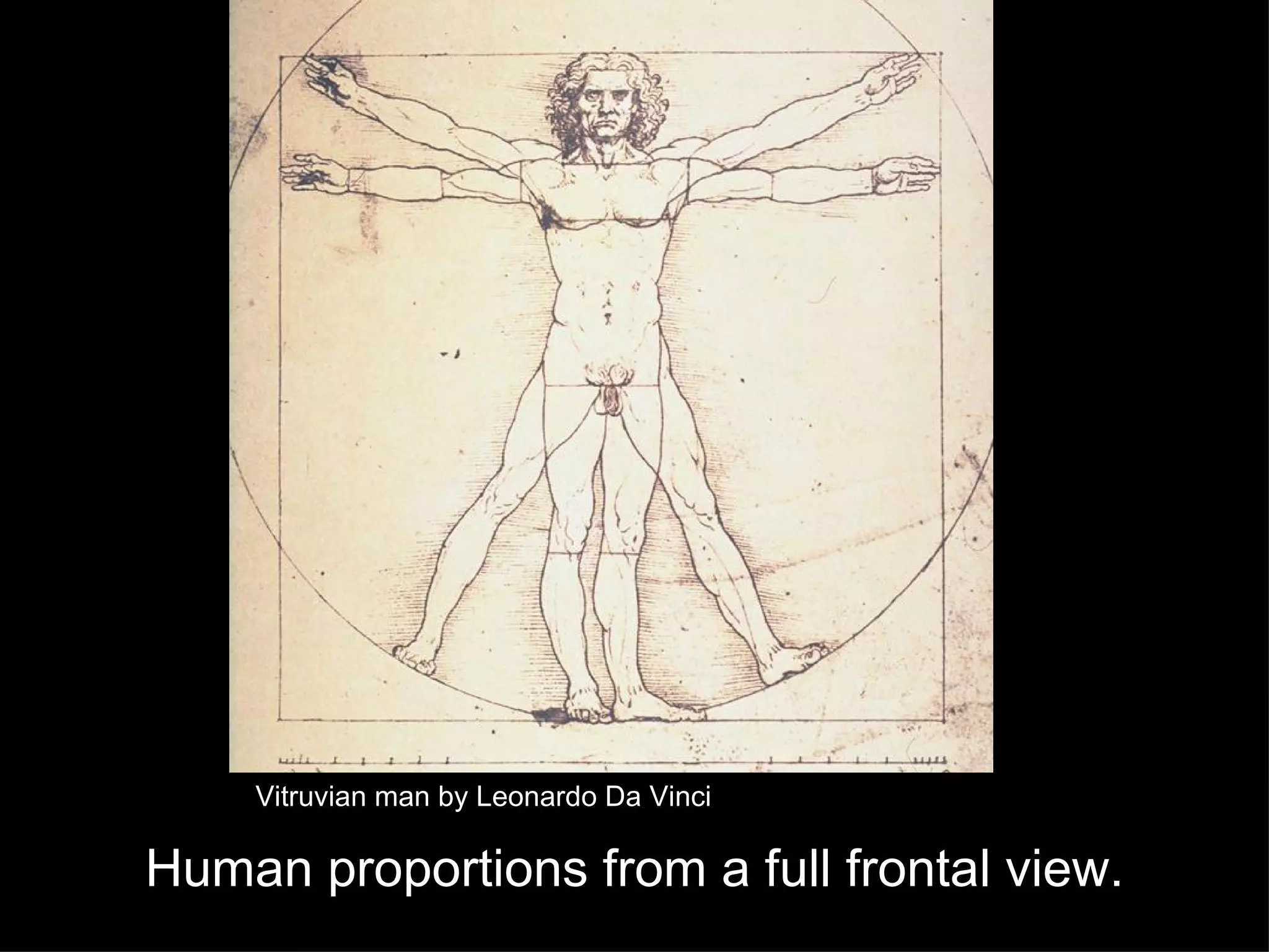 Human proportions from a full frontal view. Vitruvian man by Leonardo Da Vinci 