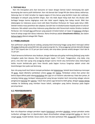 5. TENTANG NILA

Ikan nila merupakan jenis ikan konsumsi air tawar dengan bentuk tubuh memanjang dan pipih
kesamping dan warna putih kehitaman. Ikan nila berasal dari Sungal Nil dan danau-danau sekitarnya.
Sekarang ikan ini telah tersebar ke negara-negara di lima benua yang beriklim tropis dan subtropis.
Sedangkan di wilayah yang beriklim dingin, ikan nila tidak dapat hidup baik Ikan nila disukai oleh
berbagai bangsa karena dagingnya enak dan tebal seperti daging ikan kakap merah. Bibit ikan
didatangkan ke Indonesia secara resmi oleh Balai Penelitian Perikanan Air Tawar pada tahun 1969.
Setelah melalui masa penelitian dan adaptasi, barulah ikan ini disebarluaskan kepada petani di seluruh
Indonesia. Nila adalah nama khas Indonesia yang diberikan oleh Pemerintah melalui Direktur Jenderal
Perikanan. kini menjadi ikan peliharaan yang populer di kolam-kolam air tawar di Indonesia sekaligus
hama di setiap sungai dan danau Indonesia. Nama ilmiahnya adalah Oreochromis niloticus, dan dalam
bahasa Inggris dikenal sebagai Nile Tilapia.
5.1 PEMELIHARAAN
Ikan peliharaan yang berukuran sedang, panjang total (moncong hingga ujung ekor) mencapai sekitar
30 cmdan kadang ada yang lebih dan ada yang kurang dari itu. Sirip punggung ( pinnae dorsalis) dengan
16-17 duri (tajam) dan 11-15 jari-jari (duri lunak); dan sirip dubur (pinnae analis) dengan 3 duri dan 811 jari-jari.
Tubuh berwarna kehitaman atau keabuan, dengan beberapa pita gelap melintang (belang) yang makin
mengabur pada ikan dewasa. Ekor bergaris-garis tegak, 7-12 buah. Tenggorokan, sirip dada, sirip
perut, sirip ekor dan ujung sirip punggung dengan warna merah atau kemerahan (atau kekuningan)
ketika musim berbiak.ada garis linea literalis pada bagian truncus fungsinya adalah untuk alat
keseimbangan ikan pada saat berenang
Ikan nila yang masih kecil belum tampak perbedaan alat kelaminnya. Setelah berat badannya mencapai
50 gram, dapat diketahui perbedaan antara jantan dan betina. Perbedaan antara ikan jantan dan
betina dapat dilihat pada lubang genitalnya dan juga ciri-ciri kelamin sekundernya. Pada ikan jantan, di
samping lubang anus terdapat lubang genital yang berupa tonjolan kecil meruncing sebagai saluran
pengeluaran kencing dan sperma. Tubuh ikan jantan juga berwarna lebih gelap, dengan tulang rahang
melebar ke belakang yang memberi kesan kokoh, sedangkan yang betina biasanya pada bagian
perutnya besar.
5.2. PENYEBARANNYA

Ikan nila dilaporkan sebagai pemakan segala (omnivora), pemakan plankton, sampai pemakan aneka
tumbuhan sehingga ikan ini diperkirakan dapat dimanfaatkan sebagai pengendali gulma air. Ikan ini
sangat peridi, mudah berbiak. Secara alami, ikan nila (dari perkataan Nile, Sungai Nil) ditemukan mulai

 