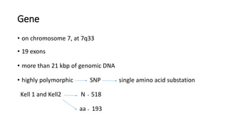 Gene
• on chromosome 7, at 7q33
• 19 exons
• more than 21 kbp of genomic DNA
• highly polymorphic SNP single amino acid substation
Kell 1 and Kell2 N 518
aa 193
 