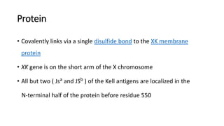 Protein
• Covalently links via a single disulfide bond to the XK membrane
protein
• XK gene is on the short arm of the X chromosome
• All but two ( Jsa and JSb ) of the Kell antigens are localized in the
N-terminal half of the protein before residue 550
 