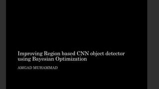 Improving Region based CNN object detector
using Bayesian Optimization
AMGAD MUHAMMAD
 