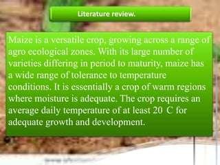 Literature review.


Maize is a versatile crop, growing across a range of
agro ecological zones. With its large number of
varieties differing in period to maturity, maize has
a wide range of tolerance to temperature
conditions. It is essentially a crop of warm regions
where moisture is adequate. The crop requires an
average daily temperature of at least 20 C for
adequate growth and development.
 