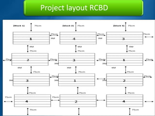 BWALEI, 1



                                  Project layout RCBD
       (Block 1)            75cm            (block 2)   75cm                 (block 3)   75cm



                                    75cm                           75cm                              75cm

                       1            3M
                                                    4              3M
                                                                                    3

                       4M                               4M                                4M

                       75cm                             75cm                              75cm



75cm                                75cm                           75cm                               75cm
                   2                                3                               1
                                      3M                                3M

          4M                                   4M                            4M

                           75cm                             75cm                         75cm

                                     75cm                                                            75cm

  3M               3                  3M            1                3M             2


                       75cm                                 75cm                         75cm

75cm                                 75cm

                   4                                    2                           4

                       75cm                                                                 75cm
 