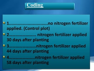 Coding     .




1...............................no nitrogen fertilizer
applied. (Control plot)
2…………………... nitrogen fertilizer applied
30 days after planting
3…………………...nitrogen fertilizer applied
44 days after planting
4…………………..nitrogen fertilizer applied
58 days after planting
 