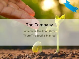 The Company
Wherever The Foot Steps
There The Seed Is Planted
15
 