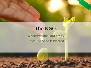 The NGO
Wherever The Foot Steps
There The Seed Is Planted
13
 