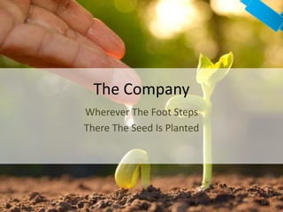 The Company
Wherever The Foot Steps
There The Seed Is Planted
15
 