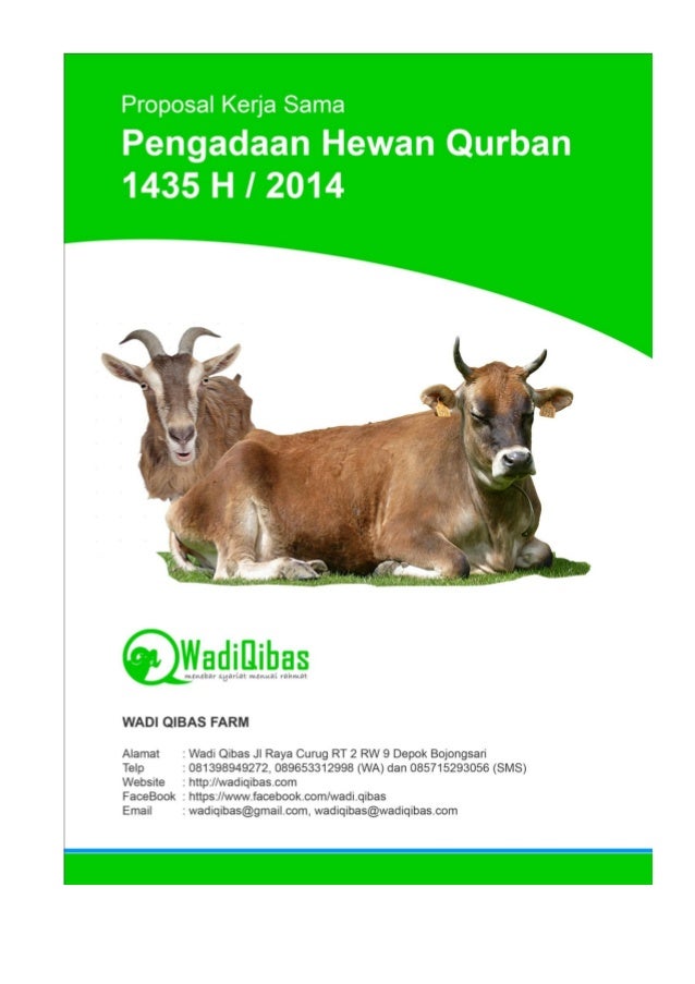 Contoh Surat Penawaran Hewan Qurban