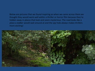 Below are pictures that we found inspiring as when we came across them we thought they would work well within a thriller or horror film because they’re hidden away in places that look and seem mysterious. The road looks like a place a stalker would wait around at and the spy hole always makes thrillers more exciting!